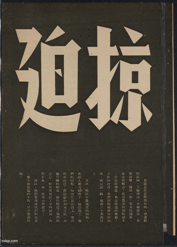 1938年《日寇暴行实录》 高清全集下载插图4
