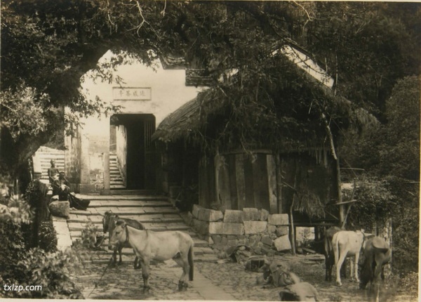 1929年安徽黄山的秀美风光老照片插图11