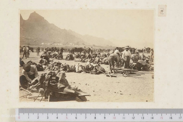 《青岛攻城战写真帖》1914年 影集下载插图2