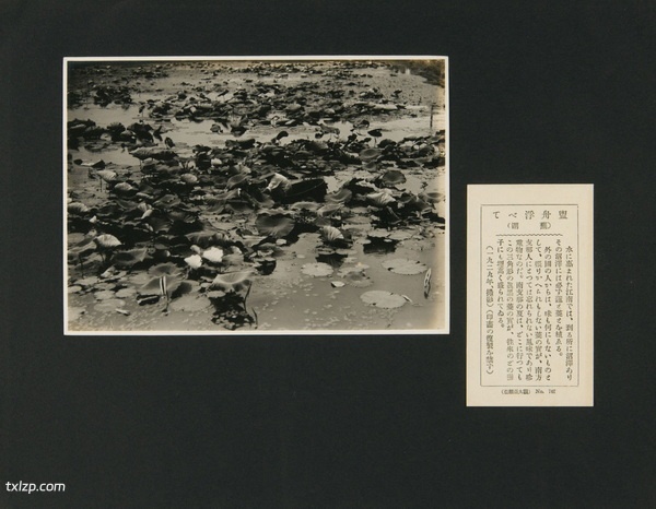 1929年安徽芜湖美丽风光照（中）插图8