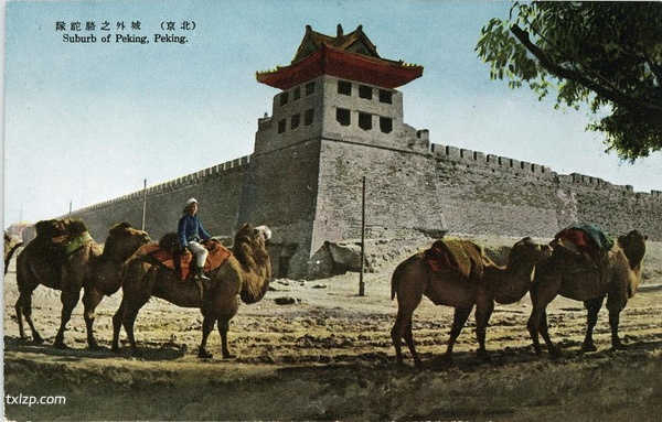 日绘民国明信片《最近の北京》插图13