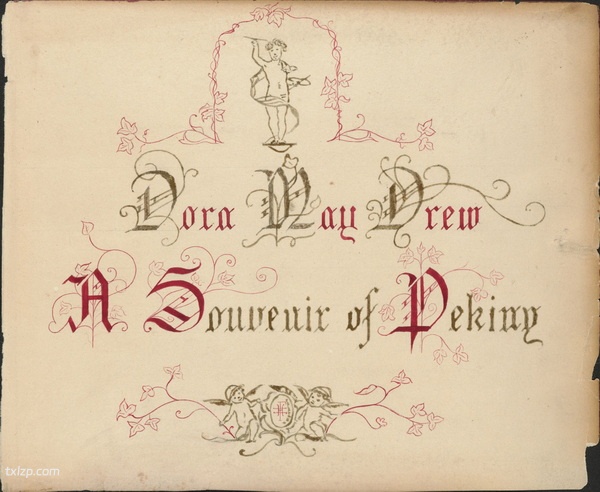 1876-1895年《杜德维的相册》 影集下载插图