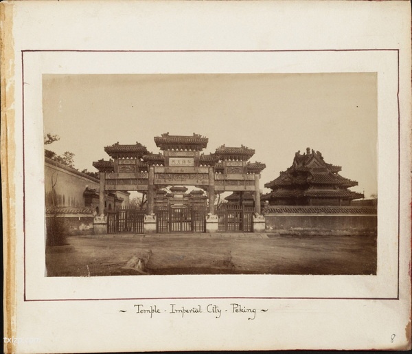 1876-1895年《杜德维的相册》 影集下载插图1