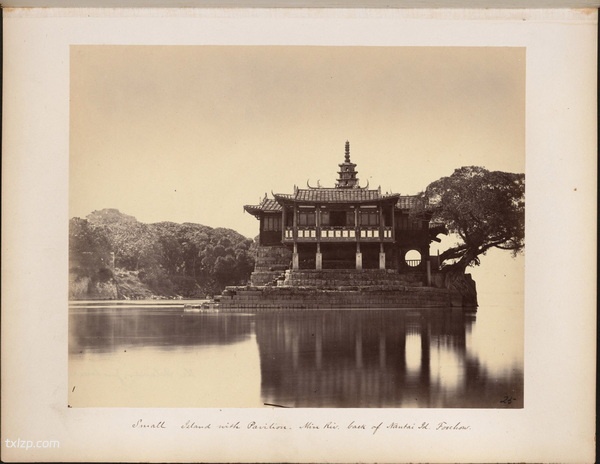 1876-1895年《杜德维的相册》 影集下载插图6