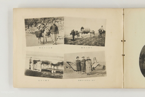 1928年 《山东省动乱纪念写真帖》影集下载插图6