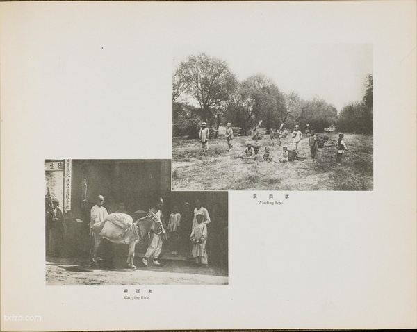 《北清大观》清末 全套影集下载插图5