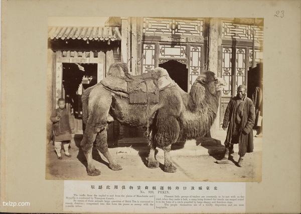 《中国景观》19世纪末 莫理循 影集下载插图7