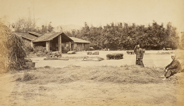 《北江风光》1870年 约翰·汤姆逊 影集下载插图9