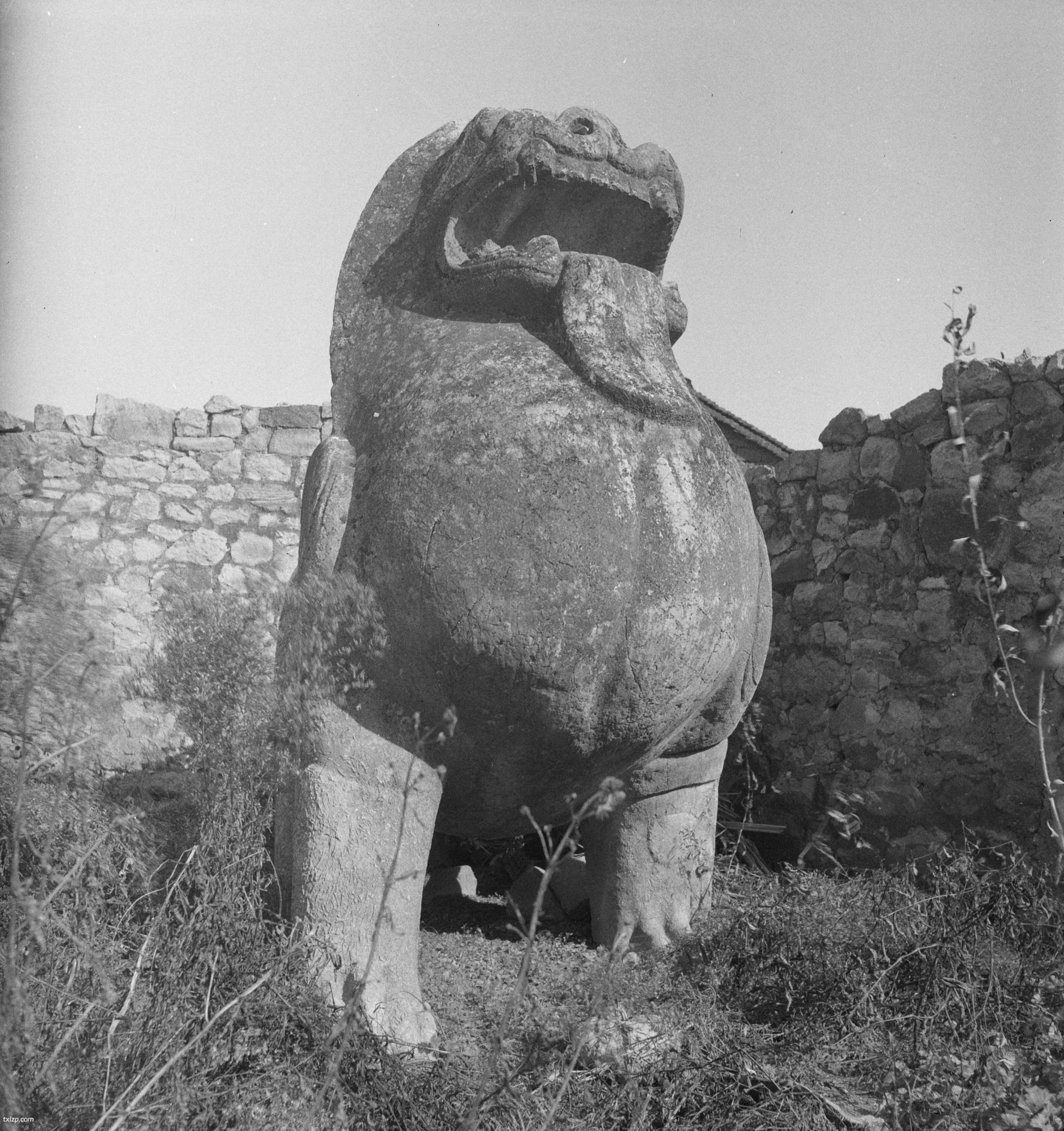 《赫达·莫里逊的摄影集》1933-1946年 全套影集插图4