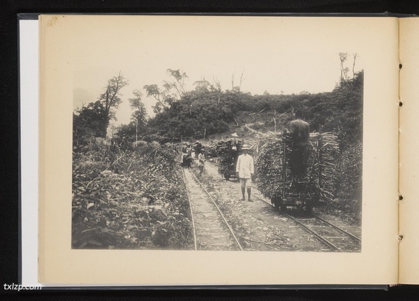 《台湾制糖株式会社写真帖》1923年 影集下载插图7 《台湾制糖株式会社写真帖》1923年 影集下载插图7