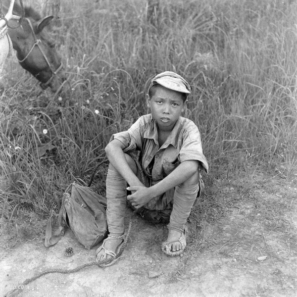 《威尔克斯的中国摄影集》1945-1946年 影集下载插图1 《威尔克斯的中国摄影集》1945-1946年 影集下载插图1