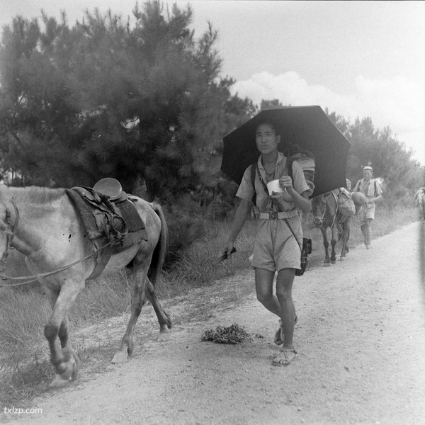 《威尔克斯的中国摄影集》1945-1946年 影集下载插图2 《威尔克斯的中国摄影集》1945-1946年 影集下载插图2