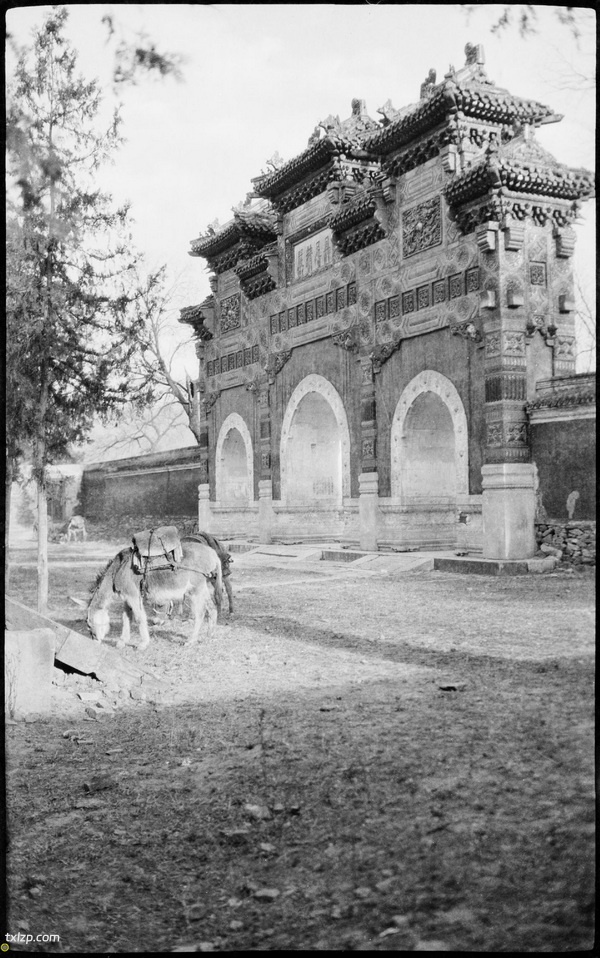 《格雷戈里的中国摄影集》1920-1930年影集下载插图7 《格雷戈里的中国摄影集》1920-1930年影集下载插图7