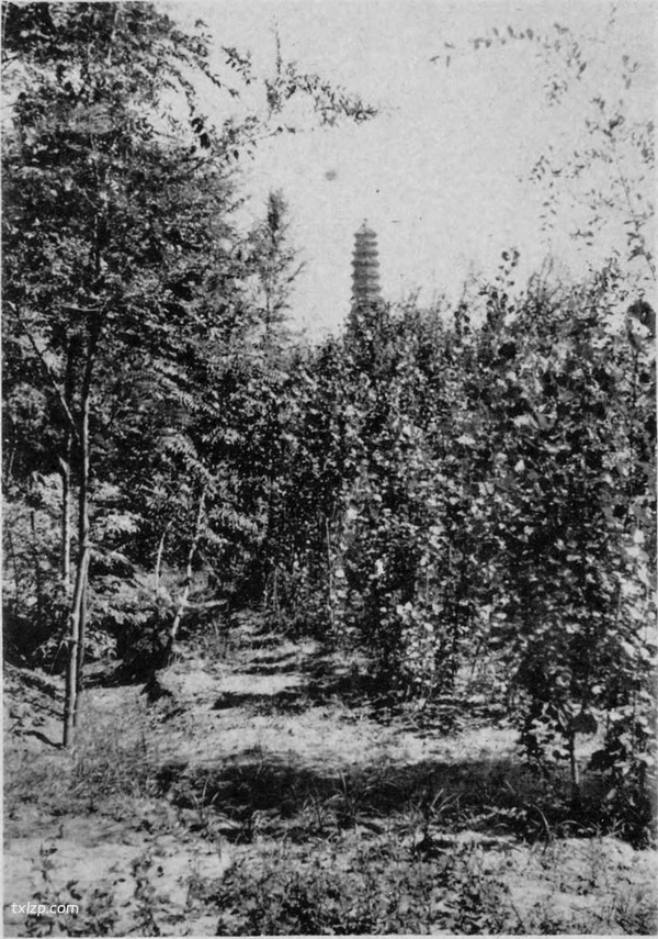 1906年后开封老照片 龙亭|繁塔|佑国寺|大相国寺插图6