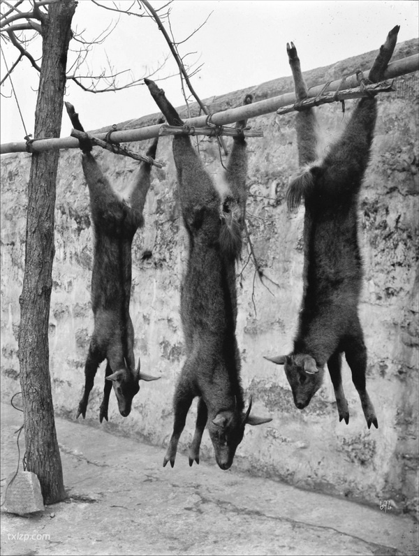 1911年宜昌老照片 百年前宜昌的城市风貌和百姓生活插图27