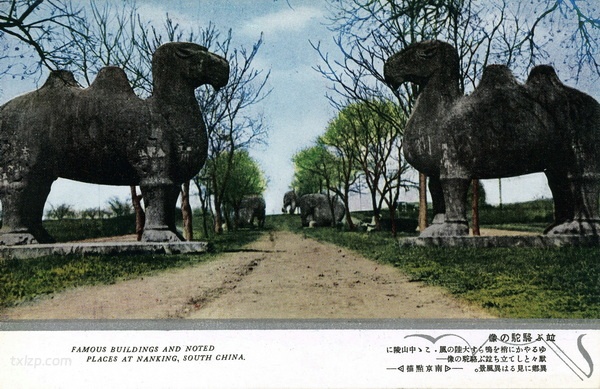 抗战期间日本发行的彩色明信片：南京点描插图2