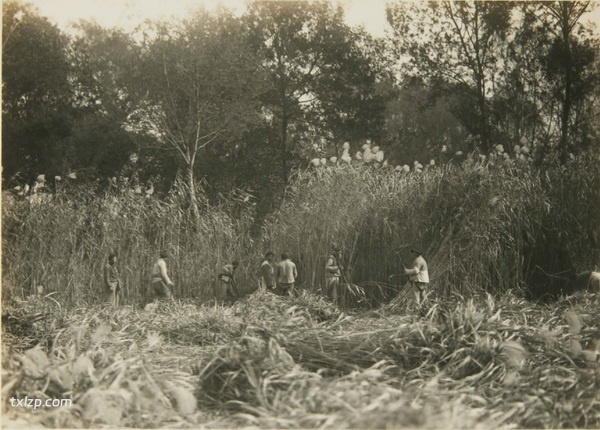 1931年镇江老照片 甘露寺|金山寺|焦山插图2 1931年镇江老照片 甘露寺|金山寺|焦山插图2