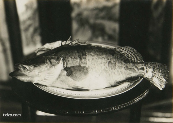 1931年镇江老照片 甘露寺|金山寺|焦山插图3 1931年镇江老照片 甘露寺|金山寺|焦山插图3