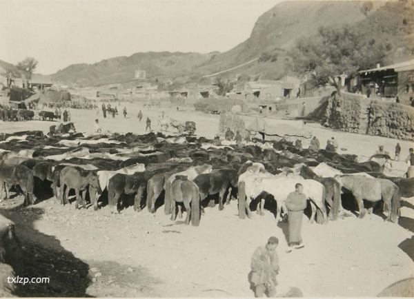 1924年张家口老照片 百年前的张家城市内外风貌插图4