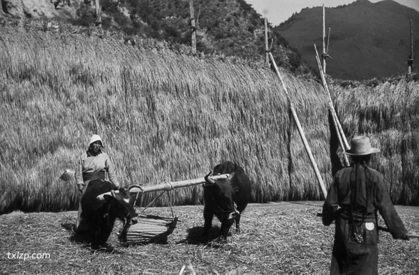 1940年甘肃临潭老照片 洮河边上临潭城乡风貌插图2