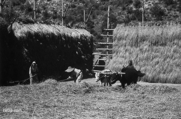 1940年甘肃临潭老照片 洮河边上临潭城乡风貌插图5