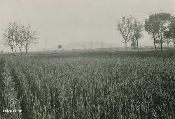 1909年张伯林中国行 5月15日-16日石家庄照片插图3