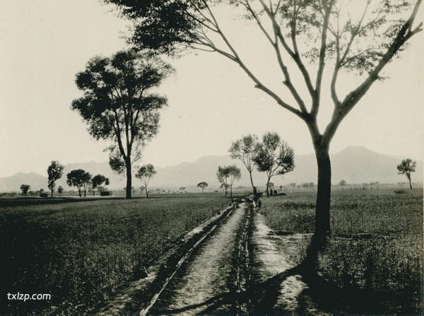 1909年张伯林中国行 5月15日-16日石家庄照片插图4