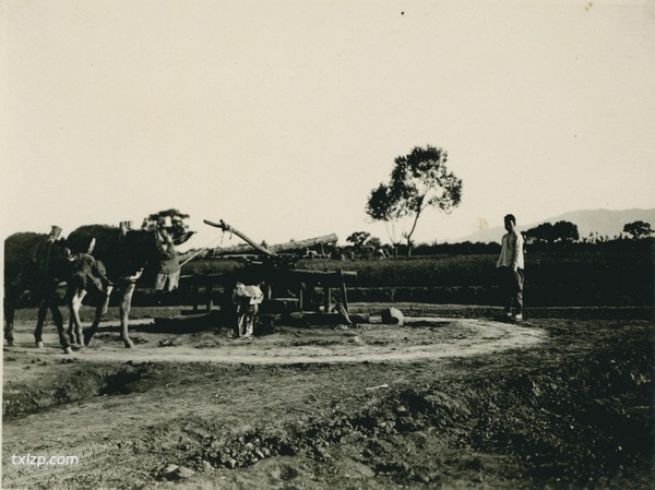 1909年张伯林中国行 5月15日-16日石家庄照片插图5