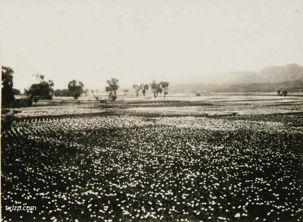 1933年兰州老照片 民国兰州城市内外历史风貌插图2