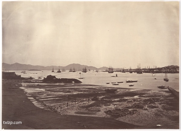 1870年厦门老照片 城市风貌|南普陀|鼓浪屿插图2