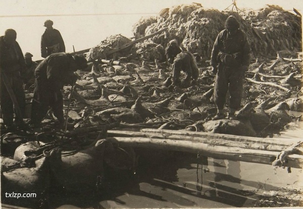 1930年内蒙古包头老照片 包头镇及五当召插图2