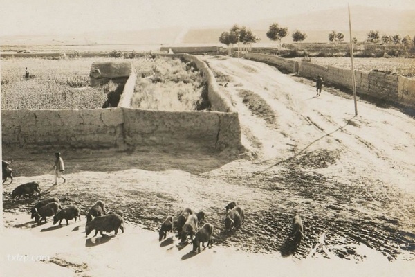 1932年内蒙古赤峰老照片 90余年前的林西县风貌插图2