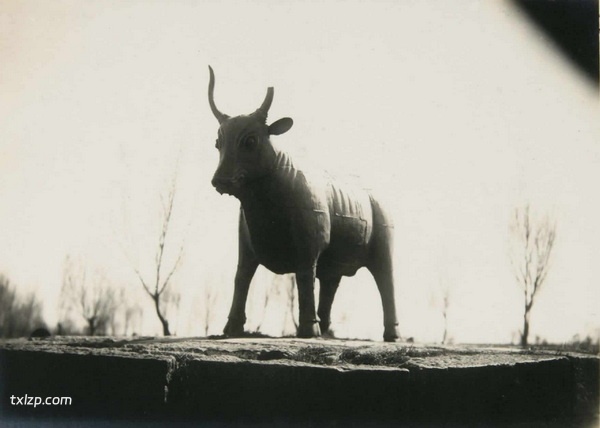 1937年大同老照片  民国时期大同街景|华严寺插图10