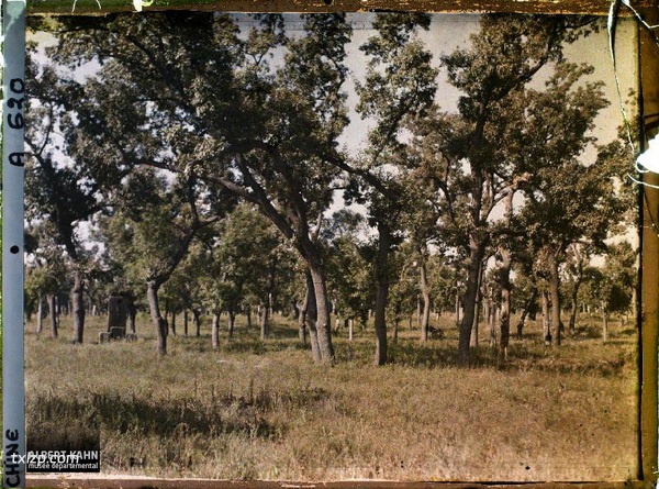 1912年曲阜老照片 孔子故里百年前彩色影像（上）插图14
