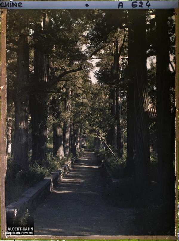 1912年曲阜老照片 孔子故里百年前彩色影像（上）插图18