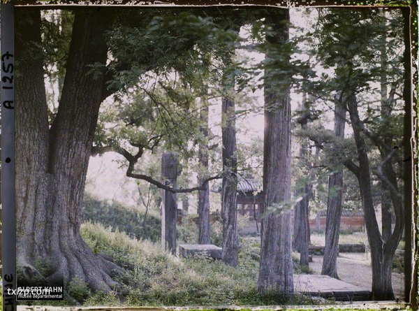 1912年曲阜老照片 孔子故里百年前彩色影像（上）插图39