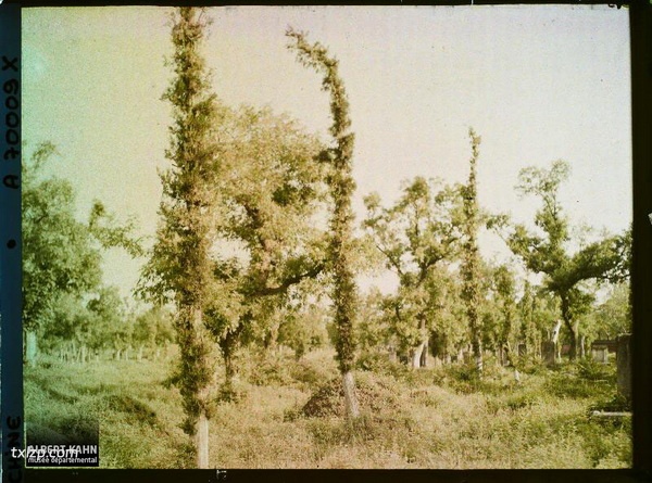 1912年曲阜老照片 孔子故里百年前彩色影像（下）插图36