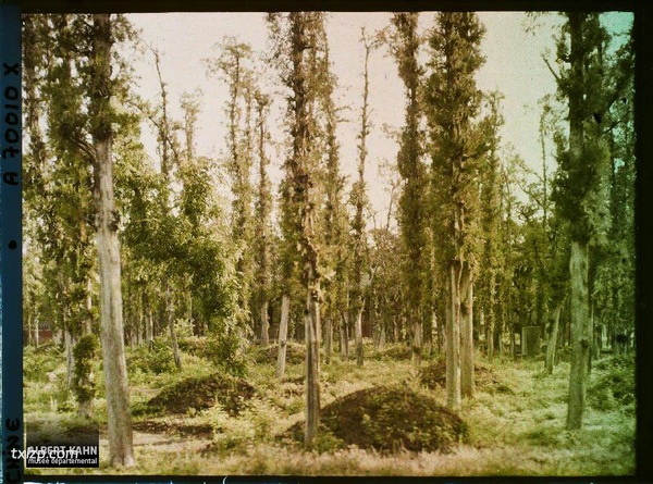 1912年曲阜老照片 孔子故里百年前彩色影像（下）插图37