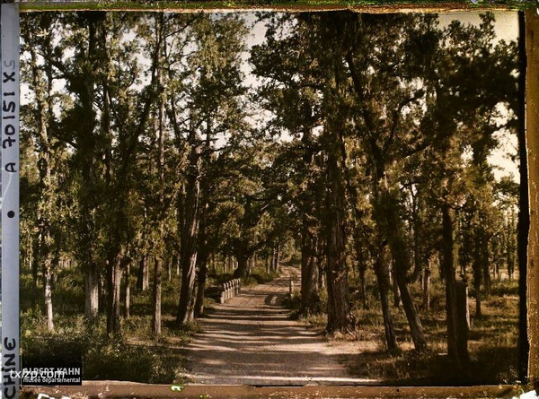 1912年曲阜老照片 孔子故里百年前彩色影像（下）插图40