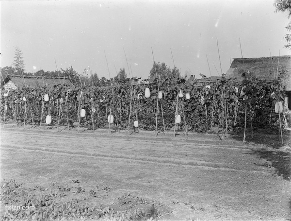1908年成都老照片 清末时期的真实成都影像插图4
