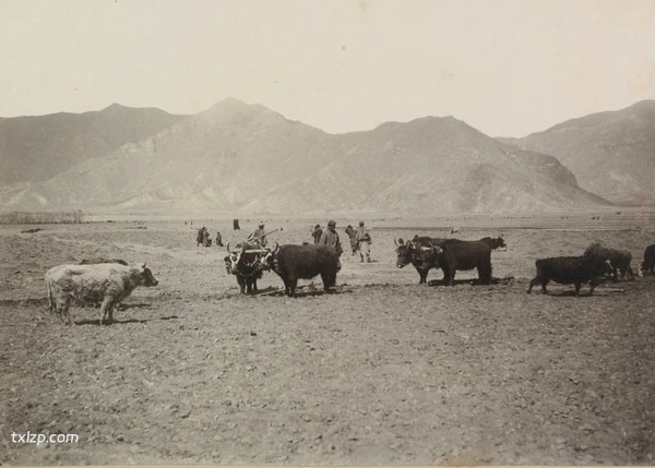 1901年西藏拉萨老照片 拉萨最早期真实影像（下）插图23
