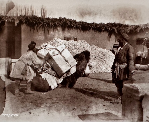 1914年德国考察队吐鲁番行拍摄的老照片(下)插图6 1914年德国考察队吐鲁番行拍摄的老照片(下)插图6