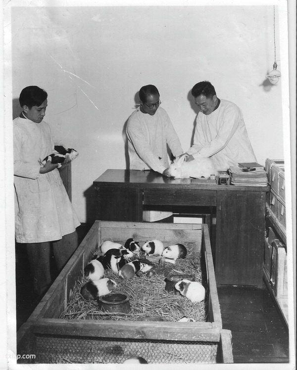 1944年昆明老照片 李约瑟拍摄的昆明西山（下）插图20