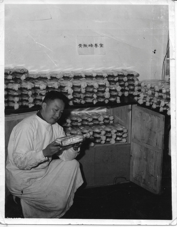 1944年昆明老照片 李约瑟拍摄的昆明西山（下）插图23