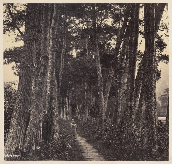 1876年宁波老照片 晚清江南水乡宁波风貌（上）插图2