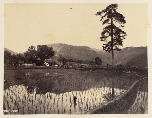 1876年宁波老照片 晚清江南水乡宁波风貌（中）插图15