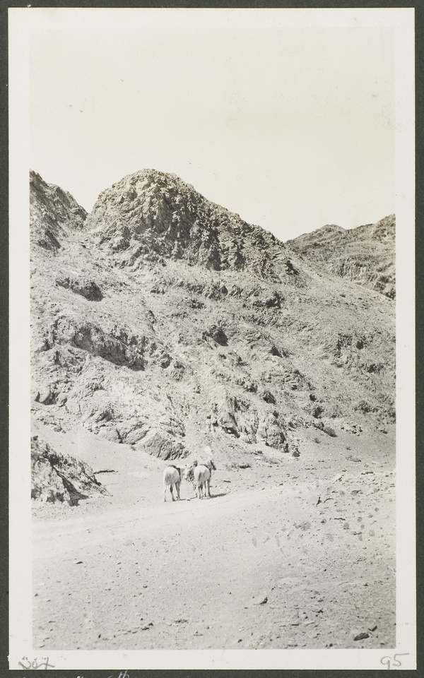 1910年乌鲁木齐老照片 莫理循西北行之乌鲁木齐篇插图2