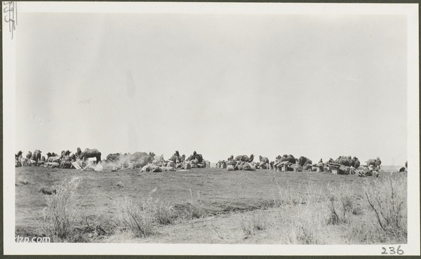 1910年乌鲁木齐老照片 莫理循西北行之乌鲁木齐篇插图15