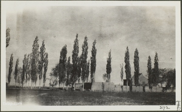 1910年乌鲁木齐老照片 莫理循西北行之乌鲁木齐篇插图59