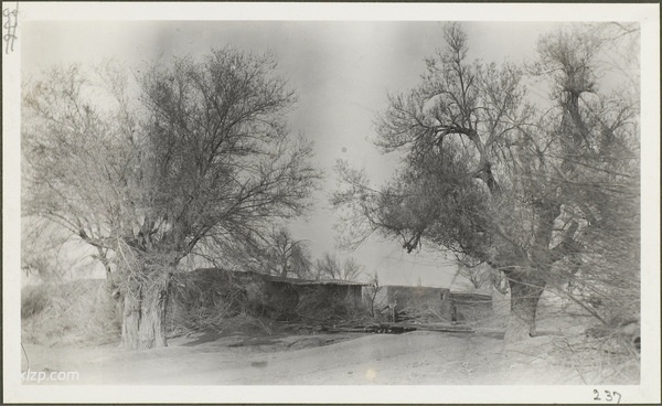 1910年乌鲁木齐老照片 莫理循西北行之乌鲁木齐篇插图16